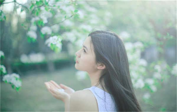 吉县验血查男女几周可以验(验血查男女结果图)